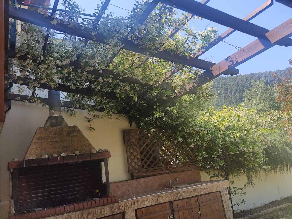 Diogenis Villa Vourvourou Zewnętrze zdjęcie